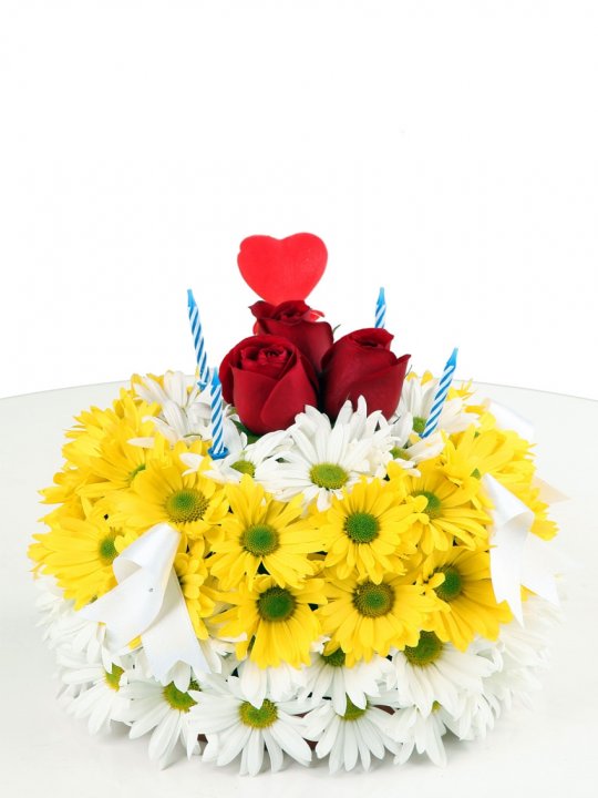 Büyük Modern Yeni Orta Sehpa